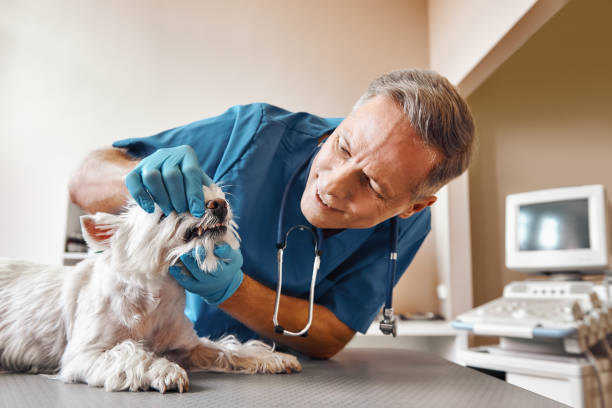 Best Emergency Dental Care for Trauma or Injury in Farmerville, LA